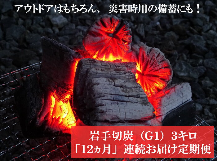 【ふるさと納税】【定期便】アウトドア・BBQ大好き！12ヵ月連続でこだわり木炭をお届け定期便