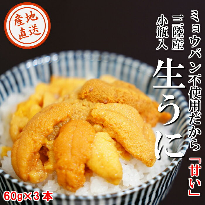 【ふるさと納税】【ミョウバン不使用！】生うに 60g×3本セット