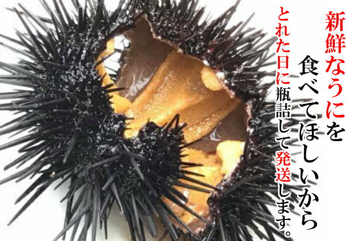 【ふるさと納税】【牛乳瓶入り！ミョウバン不使用！】生うに180g×2本セット