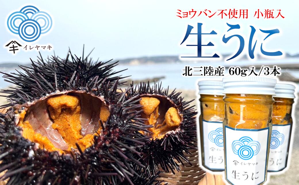 【ふるさと納税】【ミョウバン不使用！】生うに 60g×3本セット（5月下旬から順次発送予定）