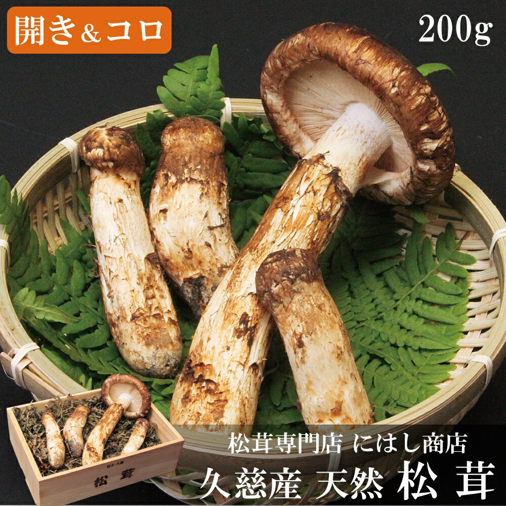 季節限定】久慈産天然松茸「開き＆つぼみ（コロ）」200g| ふるさと納税