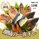 【ふるさと納税】【健康干物】潮騒の一夜干し5種セット