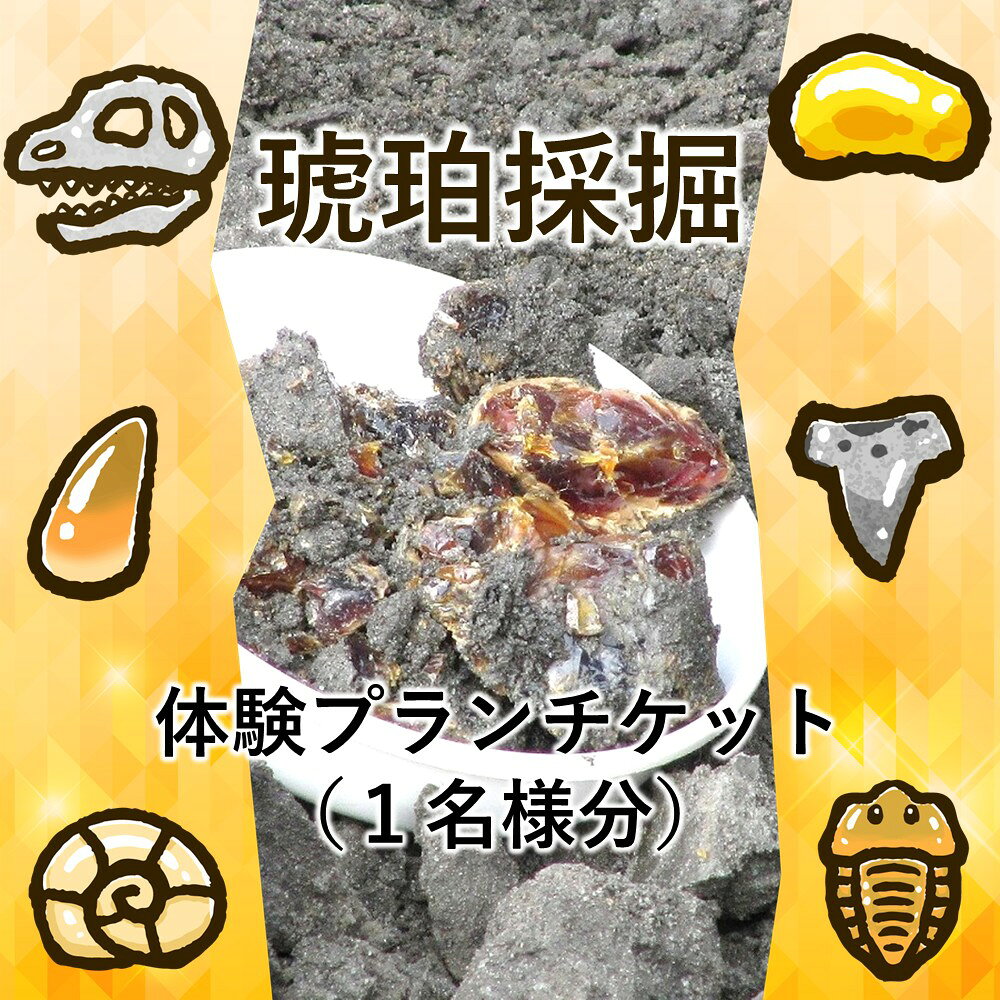 ＼恐竜時代の地層から琥珀を掘り出す本格体験/「琥珀採掘体験プラン」1名様分