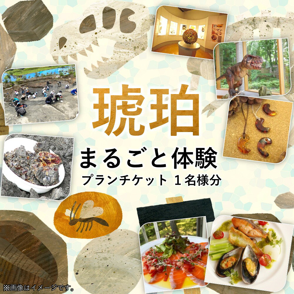 【ふるさと納税】＼まるっと1日琥珀を堪能しよう／「琥珀まるごと体験プラン」1名様分