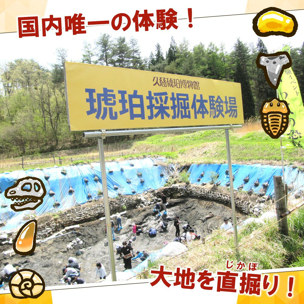 【ふるさと納税】＼まるっと1日琥珀を堪能しよう／「琥珀まるごと体験プラン」1名様分 f032077-kuji-10001160 岩手県久慈市 サンプル画像2