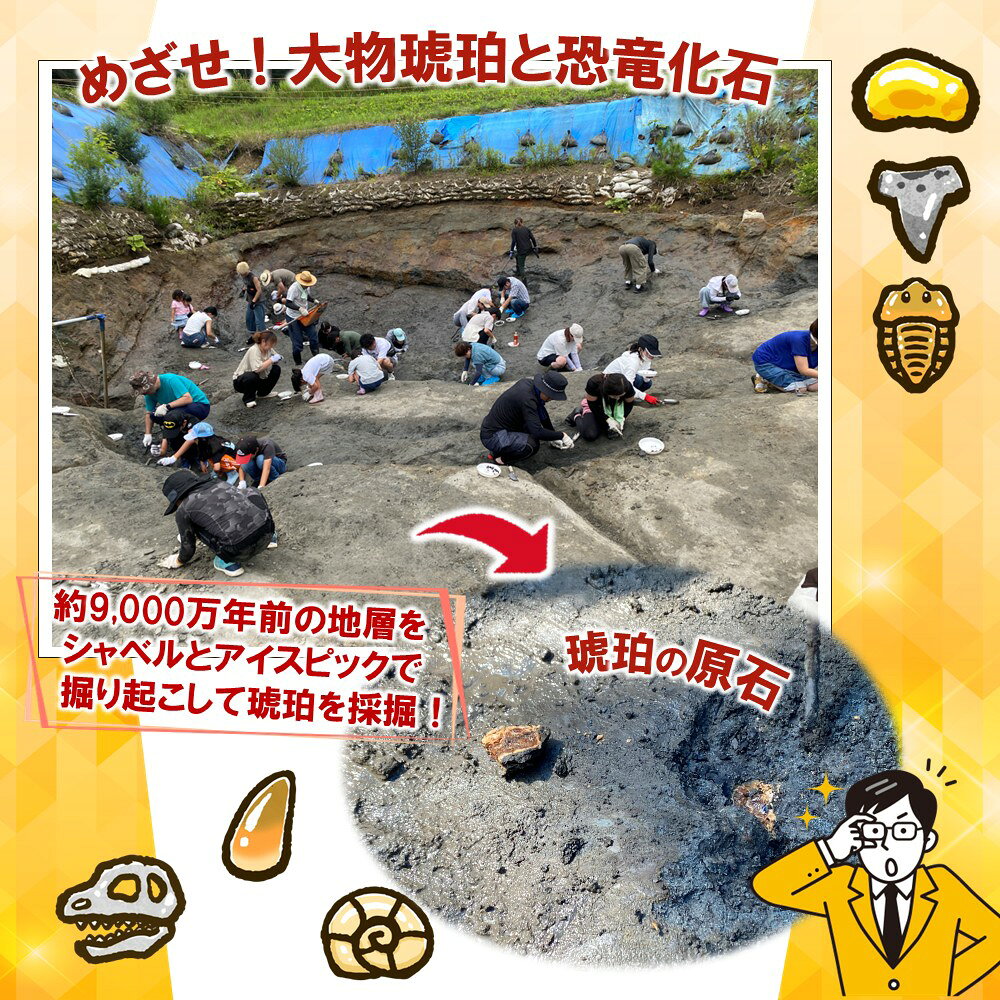 【ふるさと納税】＼まるっと1日琥珀を堪能しよう／「琥珀まるごと体験プラン」1名様分 f032077-kuji-10001160 岩手県久慈市 サンプル画像3
