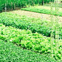 岩手県久慈市の画像2