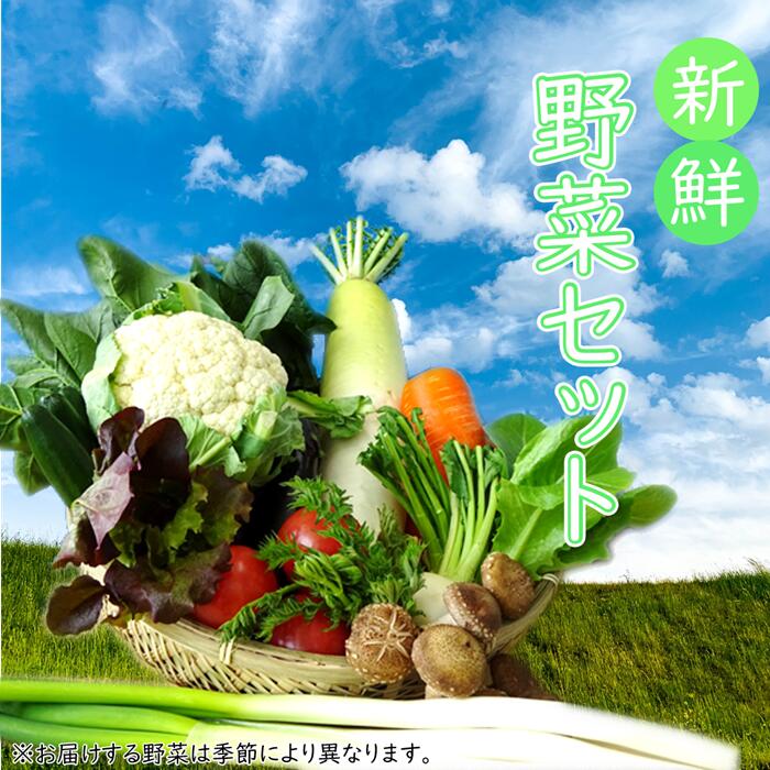 野菜・きのこ(セット・詰め合わせ)人気ランク29位　口コミ数「39件」評価「4.38」「【ふるさと納税】【安全・安心・産直直送！】季節の野菜詰め合わせ（おまかせセット）」