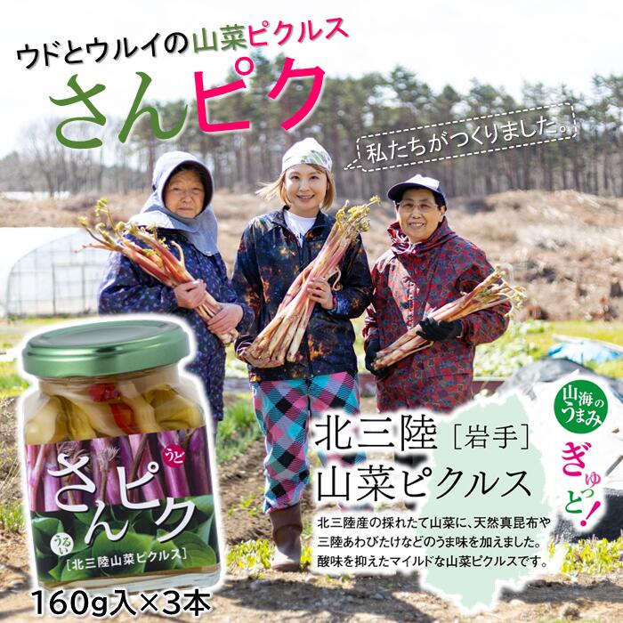 野菜・きのこ(山菜)人気ランク20位　口コミ数「0件」評価「0」「【ふるさと納税】酸味ひかえめで「うまマイルド」！さんピクー北三陸山菜ピクルスー3本セット」