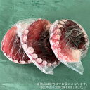 岩手県久慈市の画像2