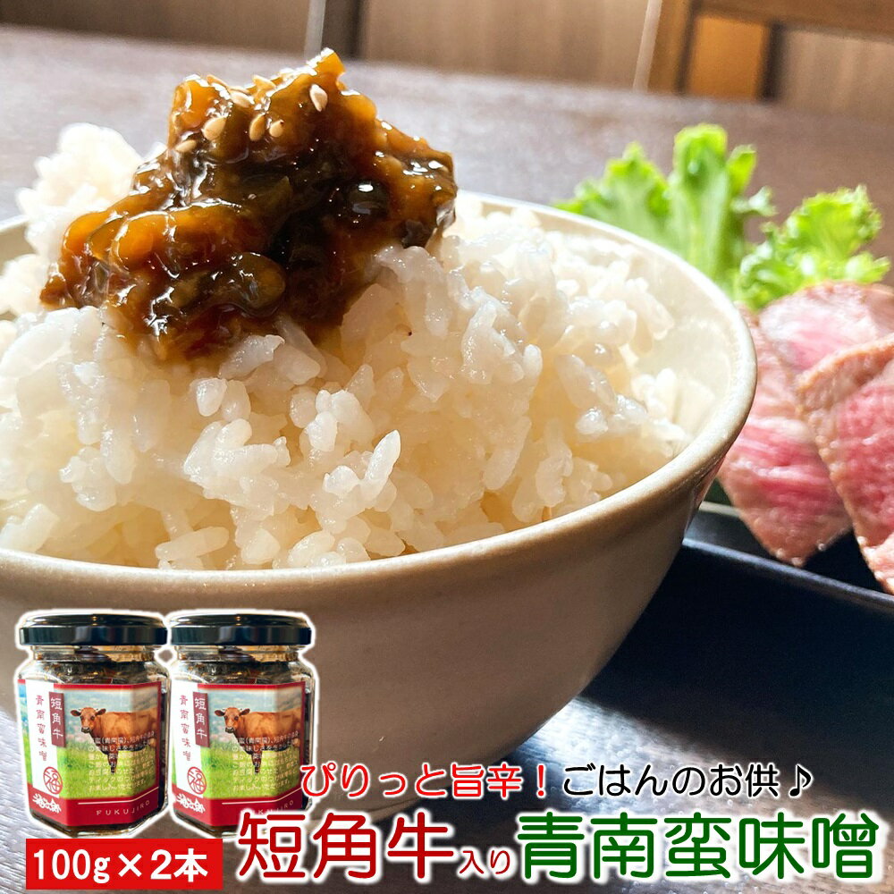 【ふるさと納税】「ピリッと旨辛！」短角牛入り青南蛮味噌 100g×2本