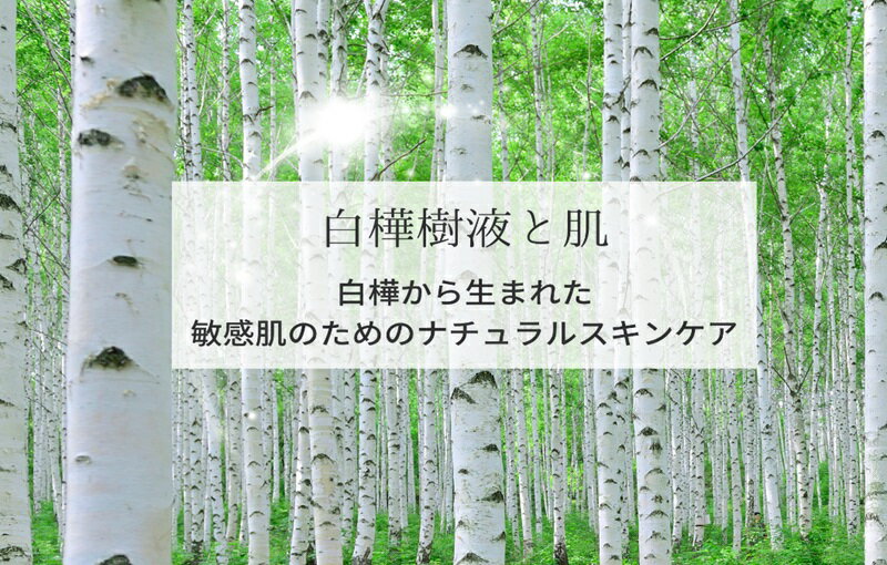 【ふるさと納税】白樺樹液と肌 オールインワンジェル200g