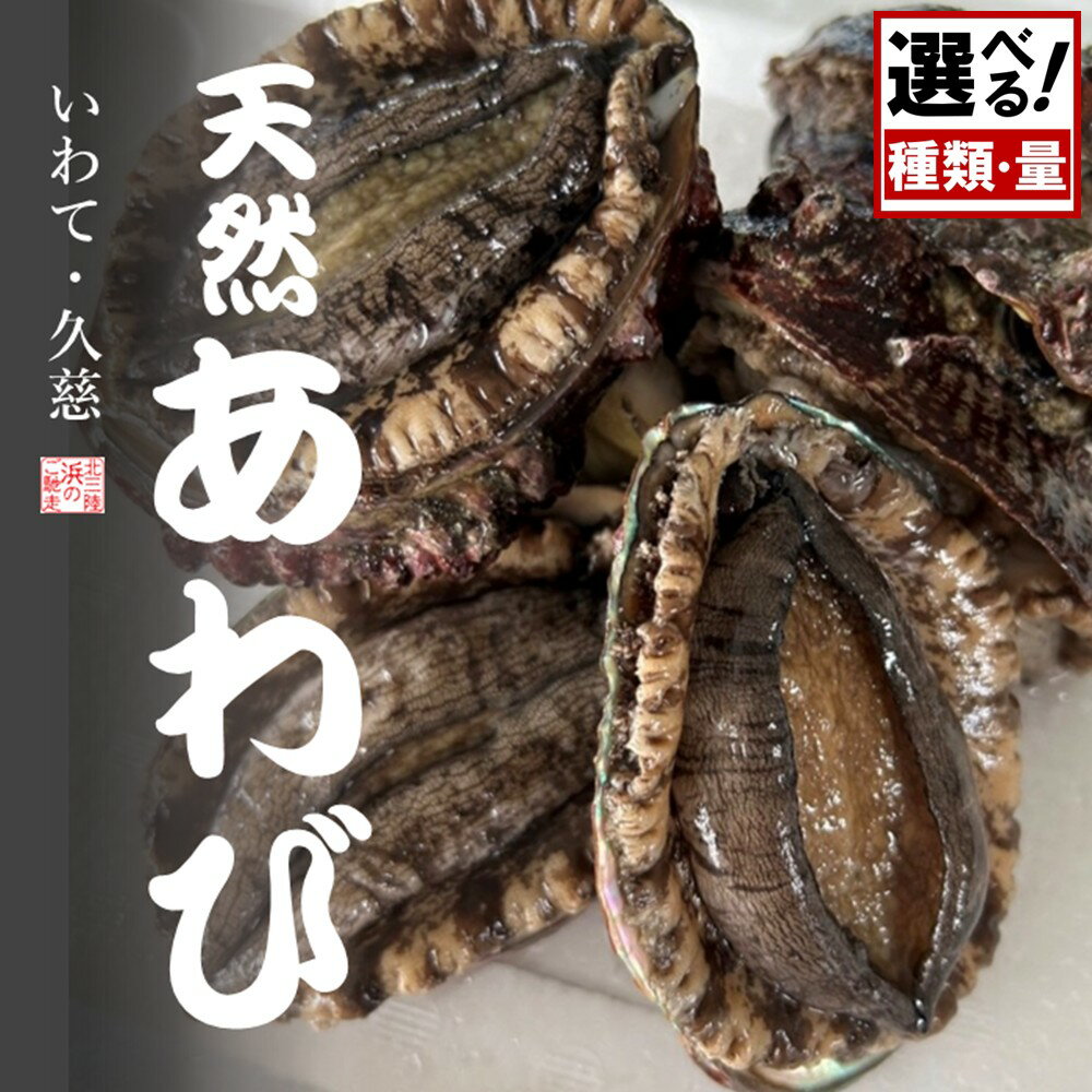 ＼年内お届け!量・処理済も選べる/ ★産地直送★ 「北三陸産天然あわび」鮑 アワビ 魚介 選べる 300g 500g 海鮮 冷蔵 刺身 お祝い 産地直送 三陸 岩手