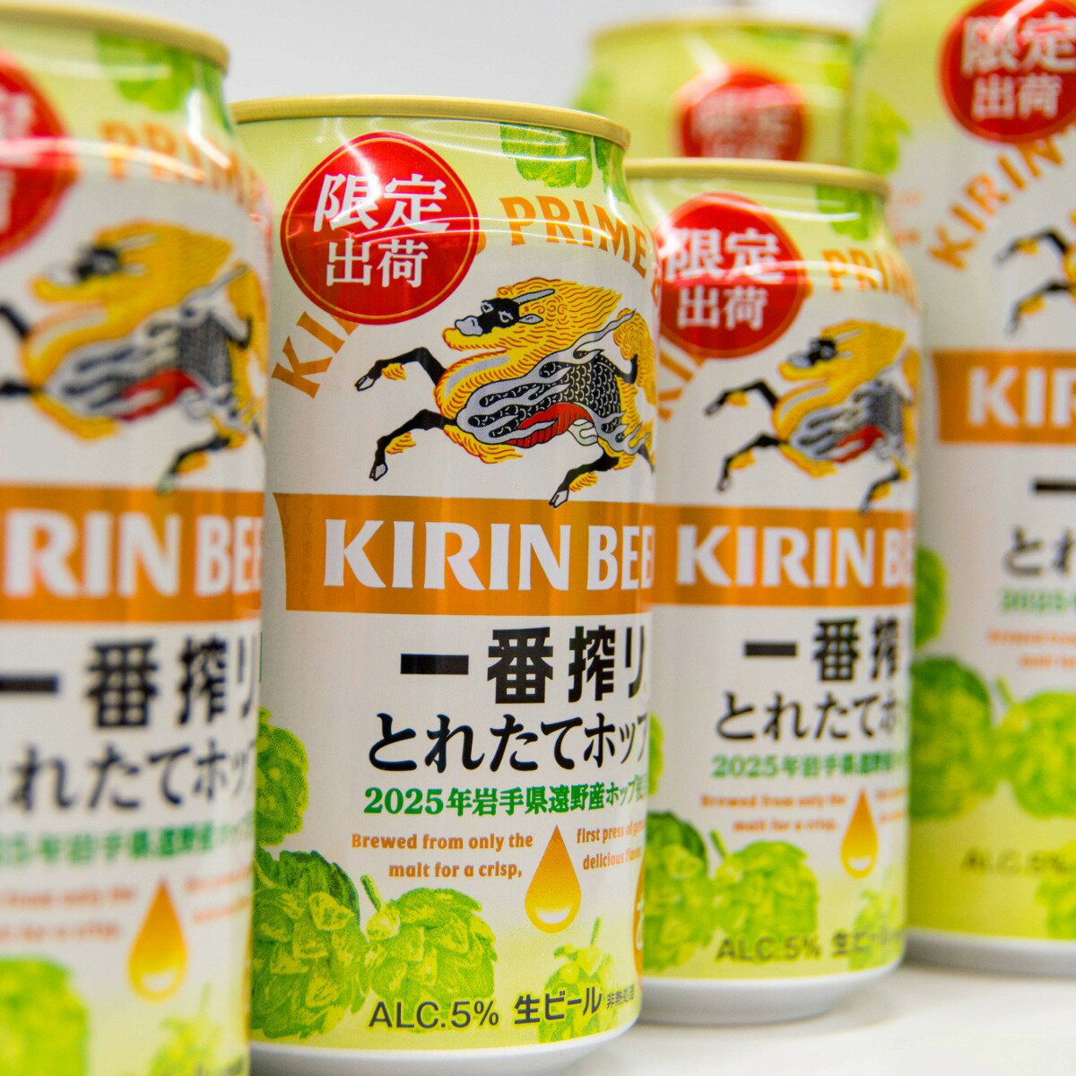 【ふるさと納税】キリン 一番搾り とれたてホップ 生ビール ギフト＜ 遠野産ホップ 使用 ＞ 2024 限定 出荷 ビール 贈答用 お酒 BBQ 宅飲み 家飲み 晩酌 ケース 缶ビール KIRIN 麒麟 きりん キリンビール 人気 セット（350ml × 10本・500ml × 2本） お歳暮 贈答 送料無料