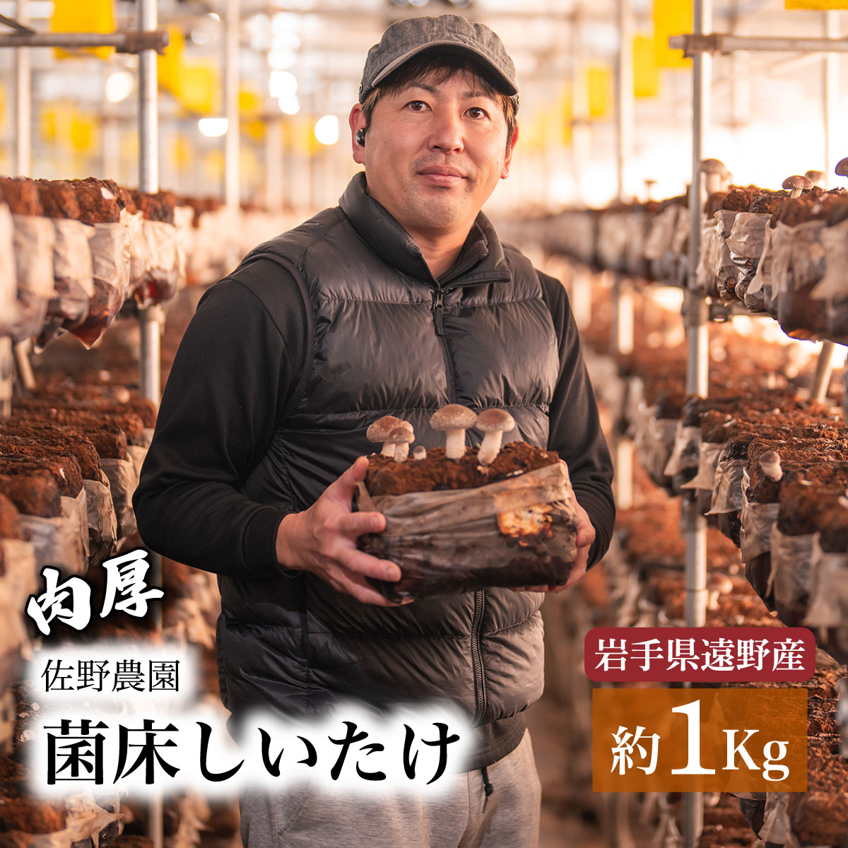 しいたけ 1kg 遠野産 菌床 生 椎茸 きのこ 菌床 岩手県 遠野市 産 国産 出汁 だし 料理 肉厚 送料無料 産地直送 M サイズ 鍋 網焼き 肉厚 ジューシー 肉詰め BBQ バーベキュー 焼肉 ヘルシー 野菜 たっぷり 産直