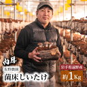 13位! 口コミ数「0件」評価「0」しいたけ 1kg 遠野産 菌床 生 椎茸 きのこ 菌床 岩手県 遠野市 産 国産 出汁 だし 料理 肉厚 送料無料 産地直送 M サイズ 鍋･･･ 