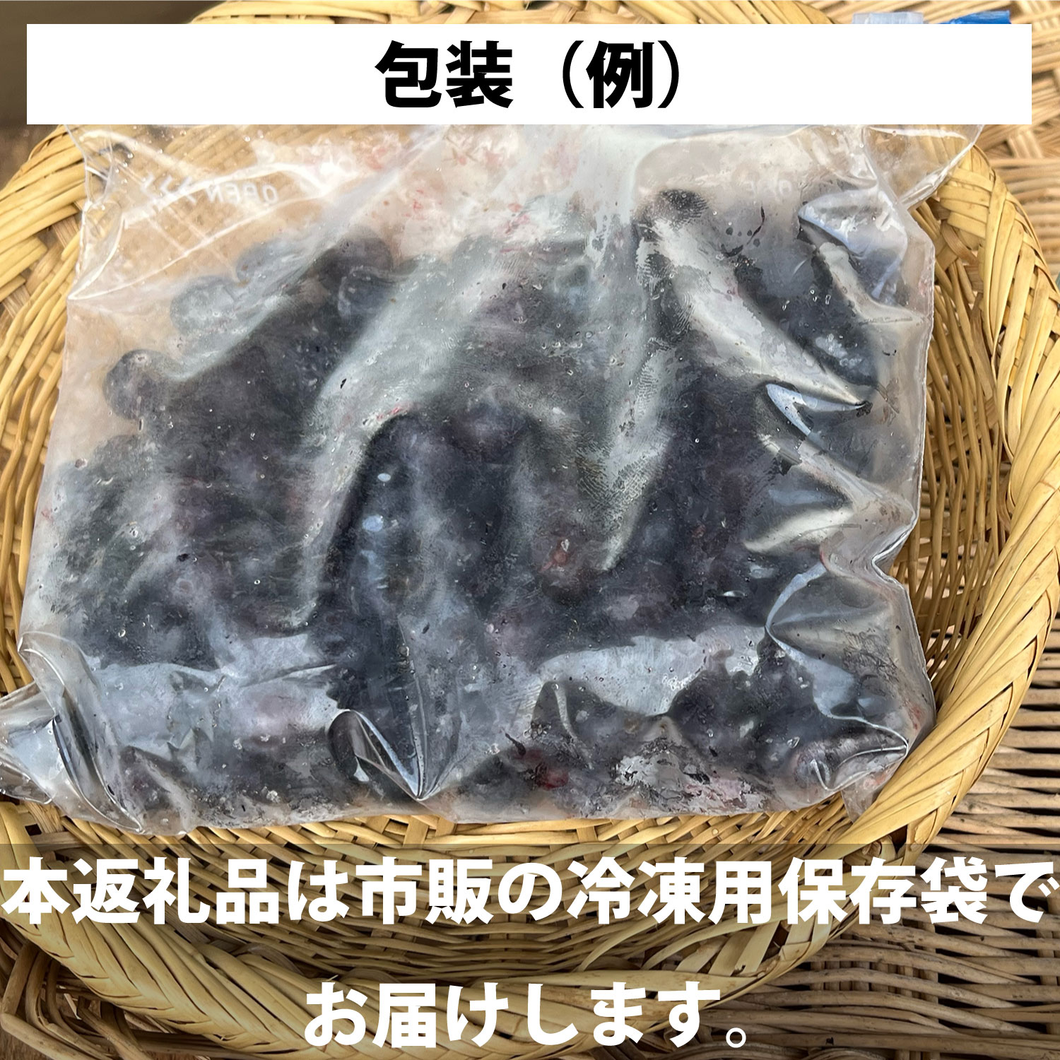 【ふるさと納税】ブルーベリー 冷凍 栽培期間中 農薬不使用 無農薬 大粒 500g 1kg 選べる 容量 大玉 は 1.5mm 以上 東北 岩手県 遠野市 遠野食工房蔵 砥森山ブルーベリー園 宮守町 産 果実 果物 くだもの フルーツ 飲料 健康 美容 視力 抗酸化 無選別 除草剤不使用 送料無料