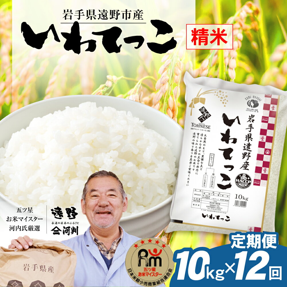 【ふるさと納税】定期便 12回 令和5年産 遠野産 「 いわてっこ 」10kg 五つ星 お米マイスター厳選 【 コメマルシェ 河判 】米 お米 おこめ 白米 精米 ふっくら ツヤツヤ SDGs 岩手県 遠野市 国産 送料無料