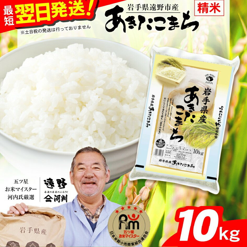 【ふるさと納税】あきたこまち 10kg 白米 精米 玄米 五