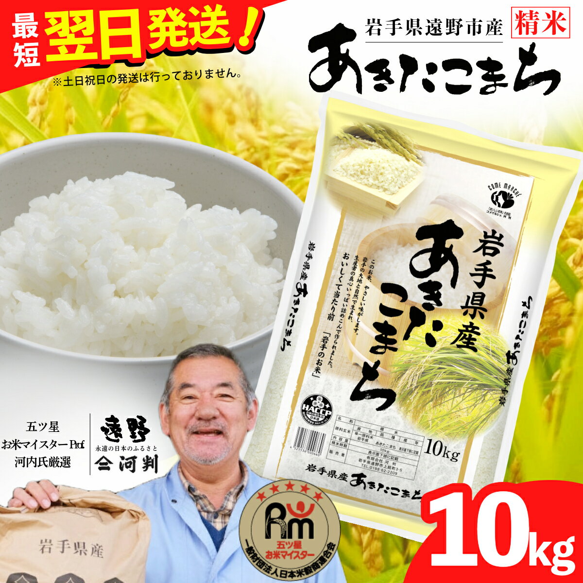 【ふるさと納税】あきたこまち 10kg 白米 精米 玄米 五