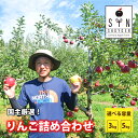 【ふるさと納税】先行予約 りんご 園主 厳選 詰め合わせ 選べる 容量 3kg 5kg 旬 品種 おまかせ / 林檎 リンゴ apple フルーツ アップル 松...