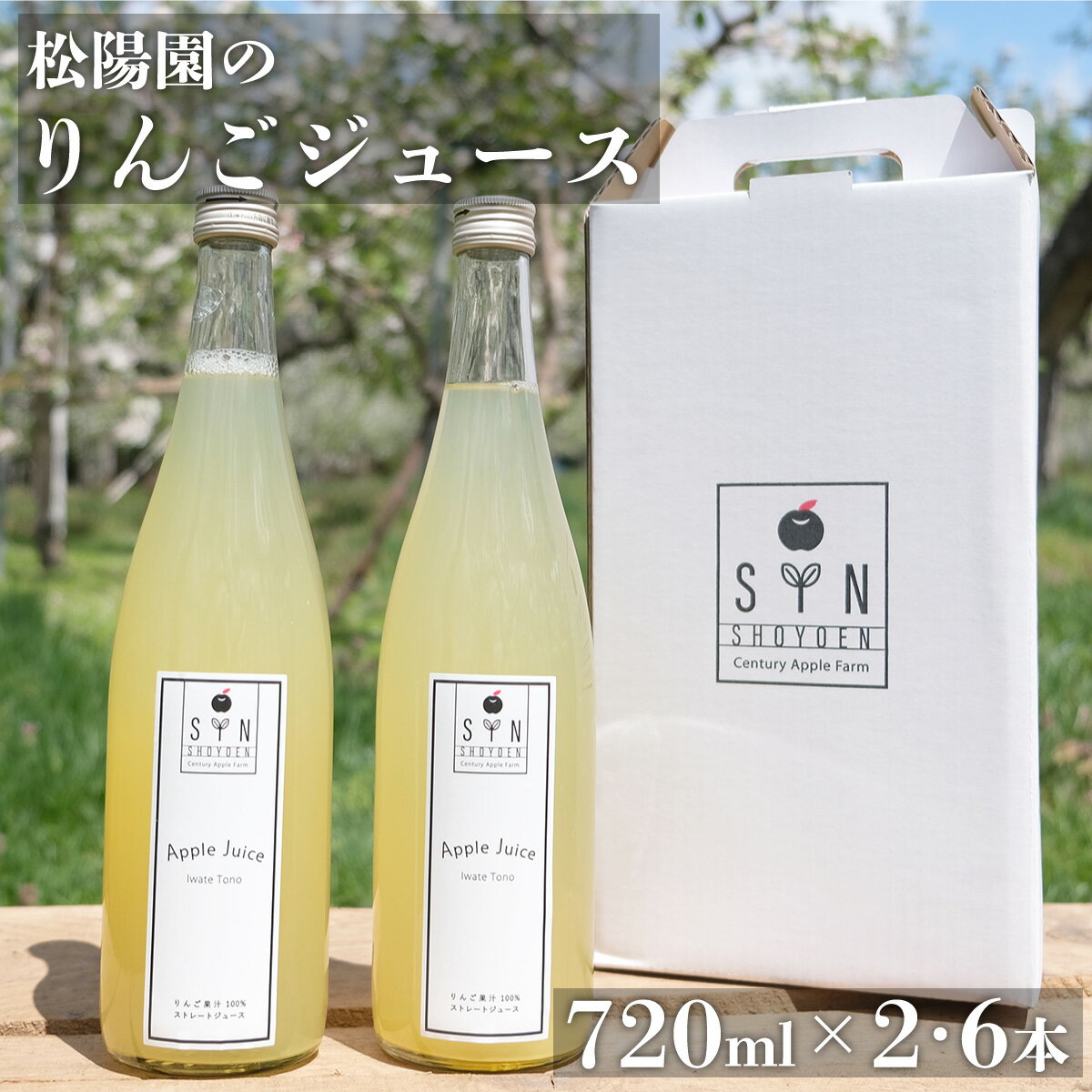 【ふるさと納税】松陽園 りんご ジュース 2本 6本 セット 720ml / 100% 岩手県 遠野市 りんご農家 松...