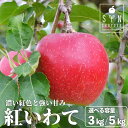 【ふるさと納税】先行予約 松陽園 樹上 完熟 りんご 紅いわて 3kg 7個〜9個 5kg 12個〜18個 選べる 重量 2025年 9月中旬頃より順次発送 林...