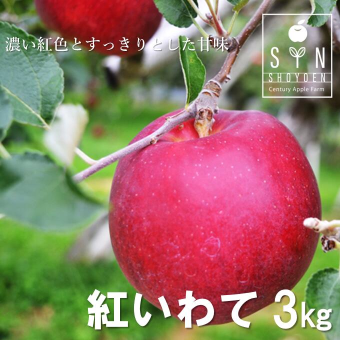 【ふるさと納税】松陽園 樹上 完熟 りんご 紅いわて 3kg 7個～9個 先行予約 2024年 9月末頃より順次発..