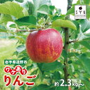 【ふるさと納税】訳ありりんご 選べる 容量 約 2.3kg 3kg 5kg 旬 品種 おまかせ / わけあり ワケあり ワケアリ 訳アリ 林檎 リンゴ apple フルーツ 松陽園 樹上 完熟 果物 果実 岩手県 遠野市 産 ご自宅用 農家直送 産地直送 キズ 割れ 変形 色ムラ サビ 送料無料