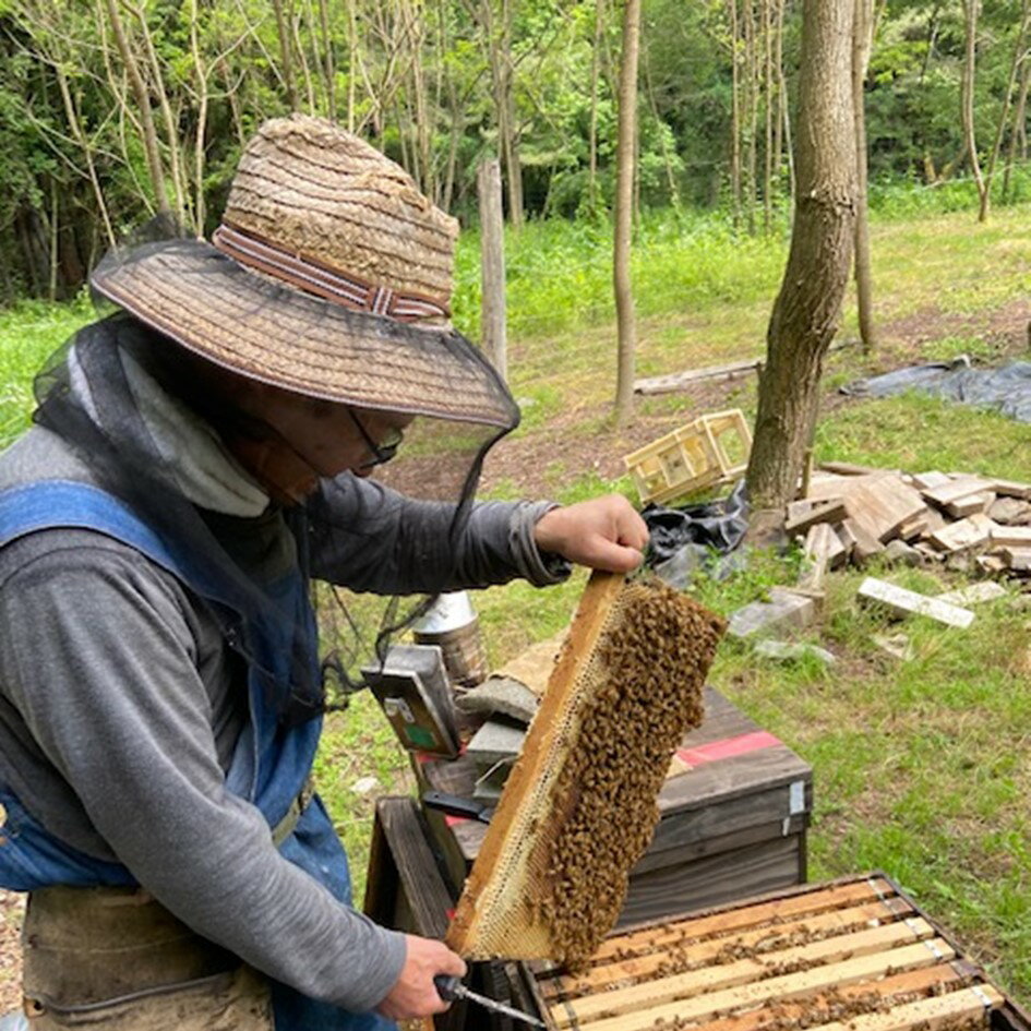 【ふるさと納税】はちみつ 菊常養蜂園 季節限定 おまかせ 30g 3個 入 国産 遠野産 非加熱 蜂蜜 純粋 食べ比べ 【遠野 伝承園】