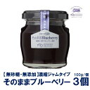 【ふるさと納税】濃縮 ジャム タイプ そのままブルーベリー 3個 門前おくでらブルーベリー園 砂糖不 ...