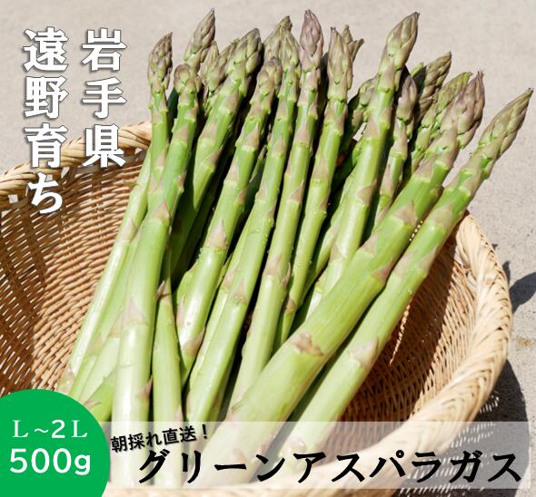 【ふるさと納税】アスパラガス 500g 岩手県 遠野市 産 採れたて グリーン アスパラ 新鮮 L / 2L サイズ..