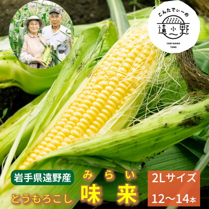 とうもろこし 味来 朝採り こんたでぃーの遠野 先行予約 高糖度 約 5 kg 2L サイズ 12~14本 2024年 7月 下旬 発送予定 岩手県 遠野市 農家 産地 直送 甘い コーン 夏 野菜 トウモロコシ 数量限定 送料無料