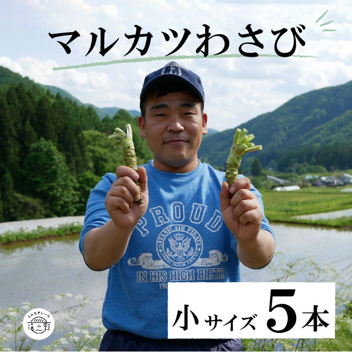 【ふるさと納税】マルカツ わさび 小サイズ 5本 真空 令和 4年 岩手県 わさび 根わさび 品評会 最優秀..