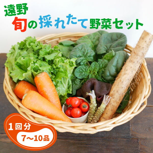 5位! 口コミ数「0件」評価「0」旬の採れたて野菜の詰め合わせセット（7～10品）~いっぺ食べろよ~ こんたでぃーの遠野 岩手県 遠野市 産 野菜 やさい セット 詰め合わせ･･･ 