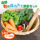 49位! 口コミ数「0件」評価「0」旬の採れたて野菜の詰め合わせセット（7～10品）~いっぺ食べろよ~ こんたでぃーの遠野 岩手県 遠野市 産 野菜 やさい セット 詰め合わせ･･･ 