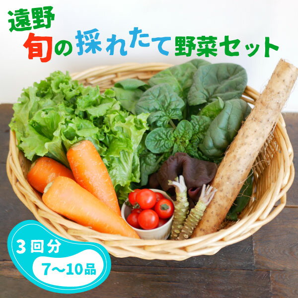 4位! 口コミ数「0件」評価「0」【偶数月 3回 定期便 】旬の採れたて野菜の詰め合わせセット（7～10品） こんたでぃーの遠野 岩手県 遠野市 産 野菜 やさい セット 詰･･･ 