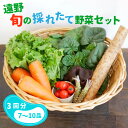 18位! 口コミ数「0件」評価「0」【偶数月 3回 定期便 】旬の採れたて野菜の詰め合わせセット（7～10品） こんたでぃーの遠野 岩手県 遠野市 産 野菜 やさい セット 詰･･･ 