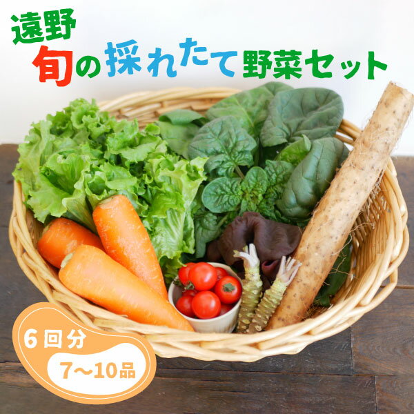 【ふるさと納税】【偶数月 6回 定期便 】旬の採れたて野菜の