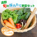 1位! 口コミ数「0件」評価「0」【偶数月 6回 定期便 】旬の採れたて野菜の詰め合わせセット（7～10品） 岩手県 遠野市 産 野菜 やさい セット 詰め合わせ 新鮮 直送･･･ 