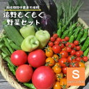 【ふるさと納税】自然農法 自然栽培 夏野菜 セット Sサイズ 約 7~10種類 2.0kg以上保証 栽培期間中 農薬不使用 農家 朝採り直送 遠野もぐもぐカントリー