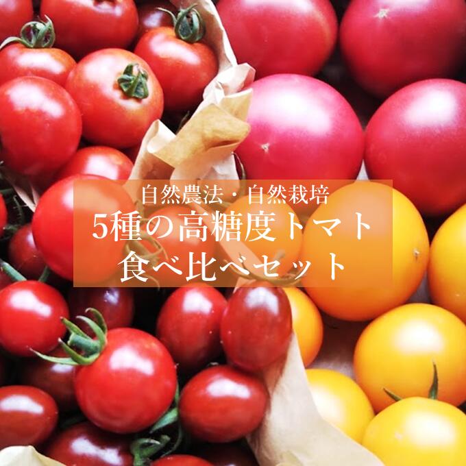 【ふるさと納税】自然農法 自然栽培 5種の 高濃度 トマト 食べ比べ セット 1.5kg 農家 朝採り 直送 遠野もぐもぐカントリーのサムネイル