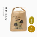 【ふるさと納税】 ササニシキ 無肥料 無農薬 玄米 5kg 