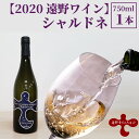 【ふるさと納税】ワイン 白 シャルドネ 辛口 750ml 1本【ソーシャルファーム＆ワイナリー 2020 遠野ワイン 】 岩手県 遠野市 送料無料 ギフト 記念日 国産ワイン 贈り物 お酒 お祝い 遠野産 ブドウ ぶどう 葡萄