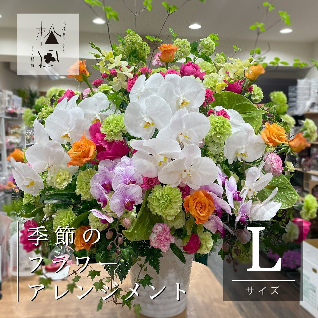 7位! 口コミ数「0件」評価「0」季節 の フラワー アレンジメント Lサイズ 松田生花店 生花 花 季節 季節の花 ギフト プレゼント 誕生日 インテリア お祝い 花束 結･･･ 