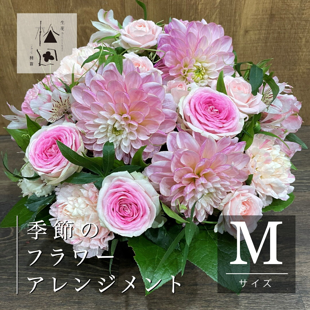 【ふるさと納税】季節 の フラワー アレンジメント Mサイズ 松田生花店 生花 花 季節 季節の花 ギフト プレゼント 誕生日 インテリア お祝い 花束 結婚記念日 結婚祝い 開店祝い 定年 退職祝い 母の日 父の日