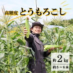 【ふるさと納税】とうもろこし 先行予約 高糖度 ゴールドラッシュ 約 2kg L サイズ 5~6本 2024年 7月 ~ 8月 発送予定 岩手県 遠野市 菊池一真 農家直送 産地直送 朝採り 甘い コーン 夏 野菜 トウモロコシ 数量限定 送料無料