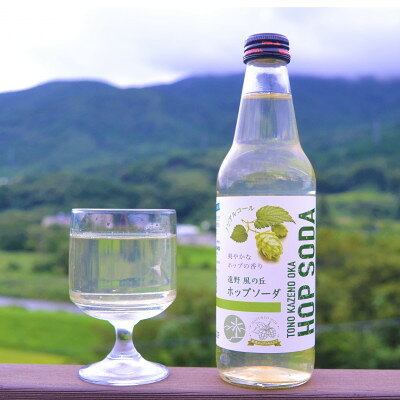 【ふるさと納税】ノンアルコール 炭酸水 遠野風の丘 ホップソーダ 340ml 24本セット【1323060】