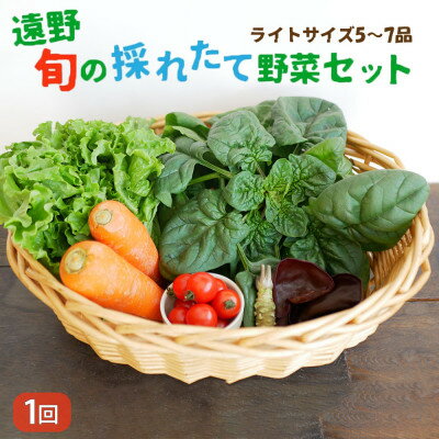 旬のとれたて野菜セット(5~7品)ライトサイズ[こんたでぃーの遠野][配送不可地域:離島]