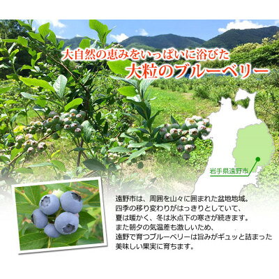 【ふるさと納税】遠野で育った 大粒 冷凍 ブルーベリー Lサイズ 1kg【配送不可地域：離島】【1333274】